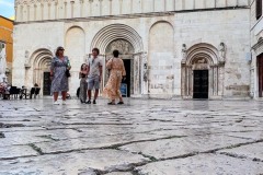 IMG_6511