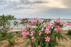 IMG_7508